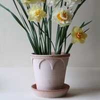 Read ubaahaus Reviews